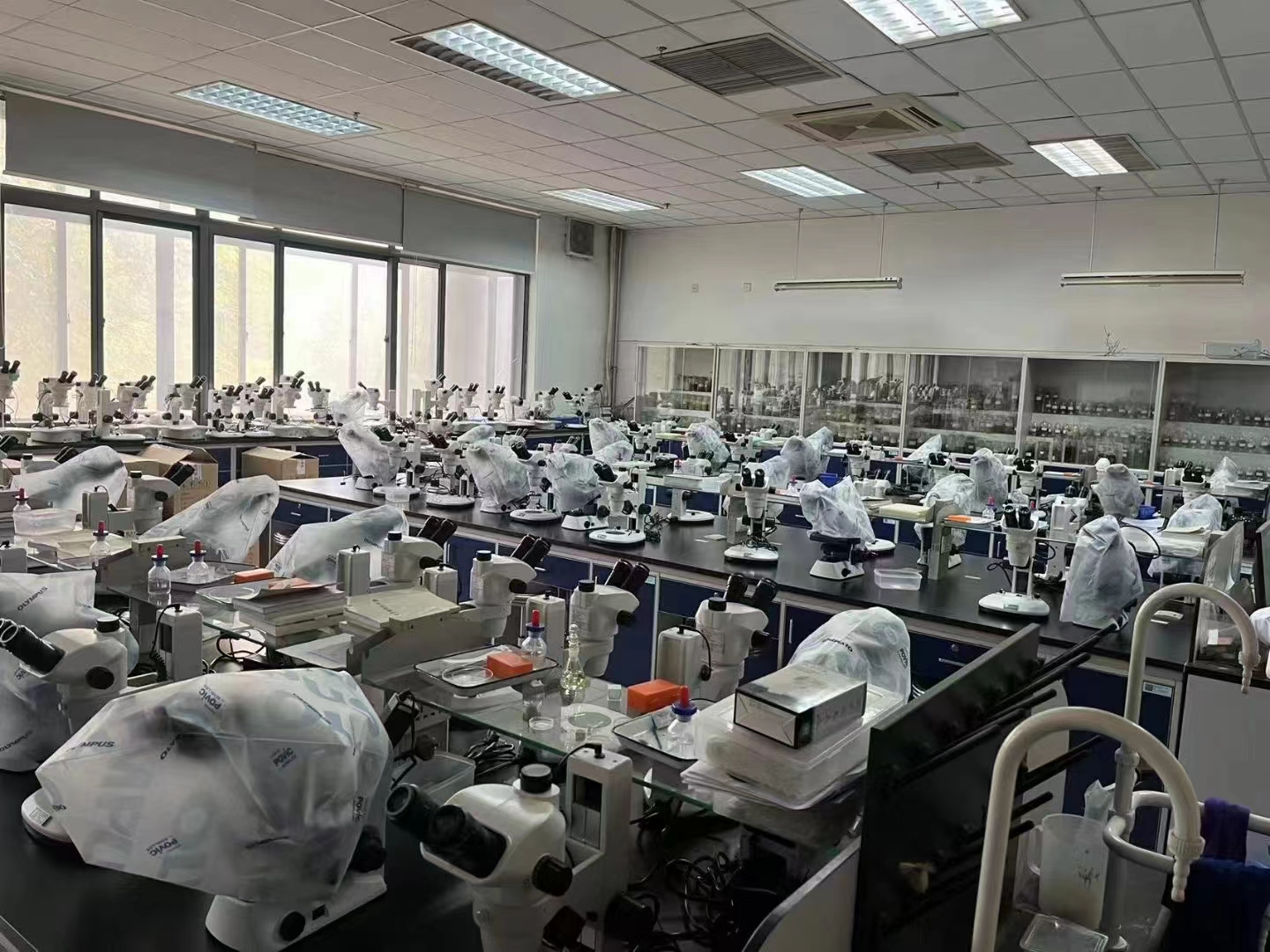 哔咔漫画免费入口网页.png 哔咔漫画免费入口网页.png