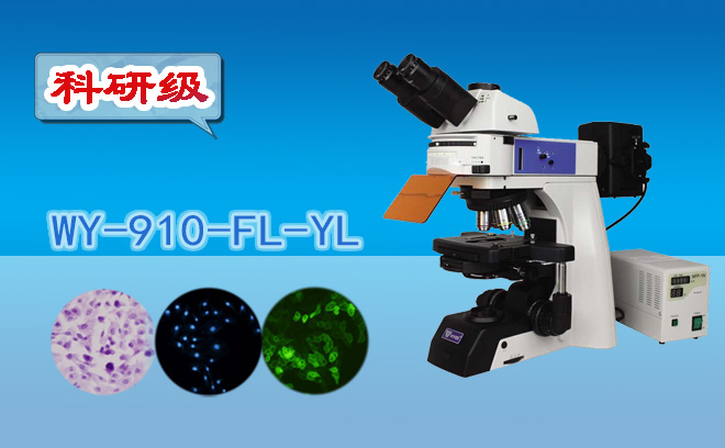 熒光哔咔漫画免费入口网页不適合觀察活細胞,對嗎?